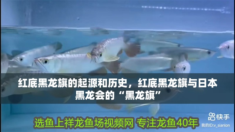 紅底黑龍旗的起源和歷史，紅底黑龍旗與日本黑龍會的“黑龍旗”