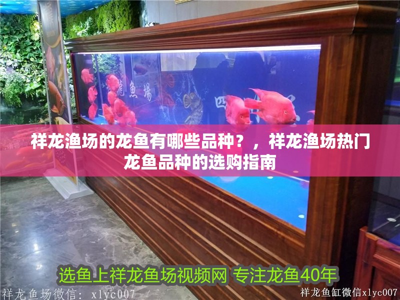 祥龍漁場的龍魚有哪些品種？，祥龍漁場熱門龍魚品種的選購指南