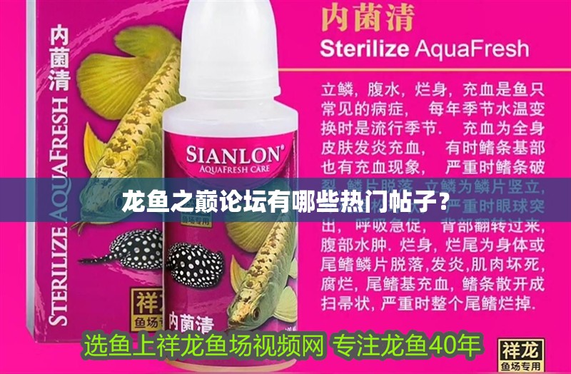 龍魚之巔論壇有哪些熱門帖子？