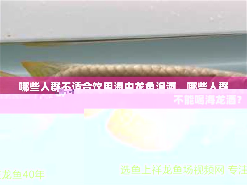 哪些人群不適合飲用海中龍魚泡酒，哪些人群不能喝海龍酒？