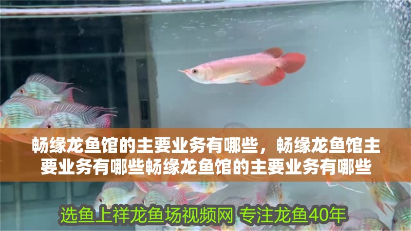 暢緣龍魚館的主要業務有哪些，暢緣龍魚館主要業務有哪些暢緣龍魚館的主要業務有哪些