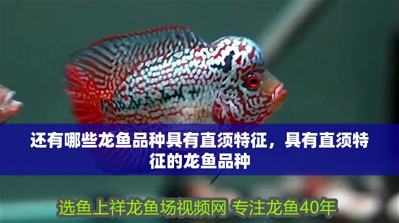還有哪些龍魚品種具有直須特征，具有直須特征的龍魚品種