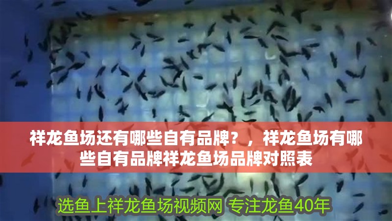 祥龍魚場還有哪些自有品牌？，祥龍魚場有哪些自有品牌祥龍魚場品牌對照表