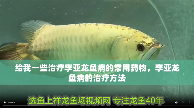給我一些治療李亞龍魚病的常用藥物，李亞龍魚病的治療方法