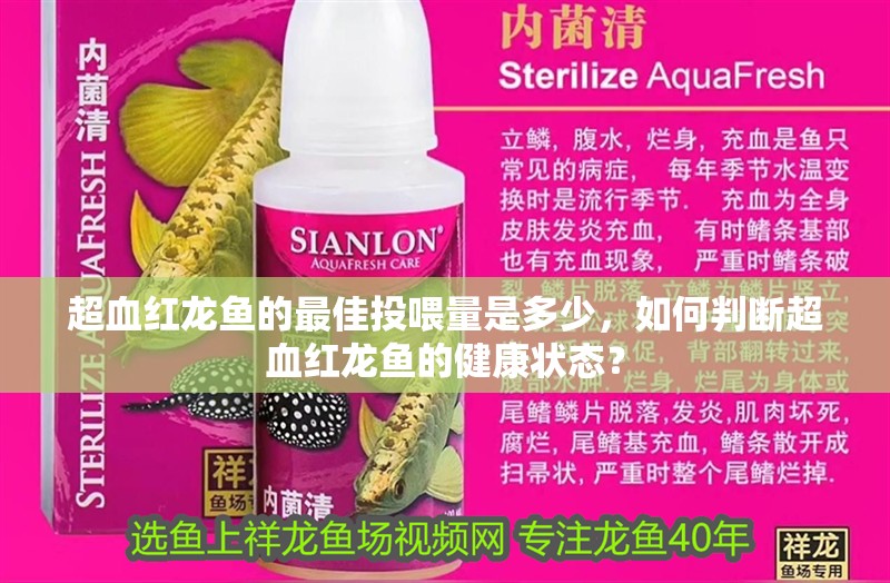 超血紅龍魚(yú)的最佳投喂量是多少，如何判斷超血紅龍魚(yú)的健康狀態(tài)？