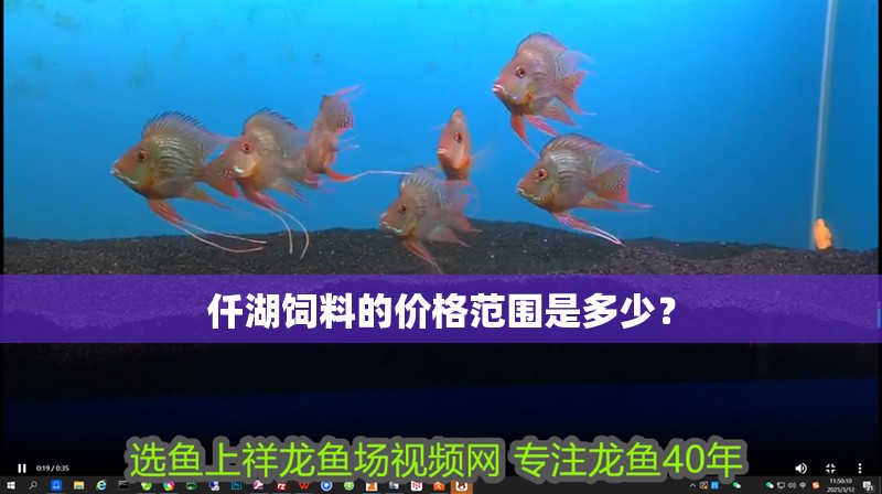 仟湖飼料的價(jià)格范圍是多少？