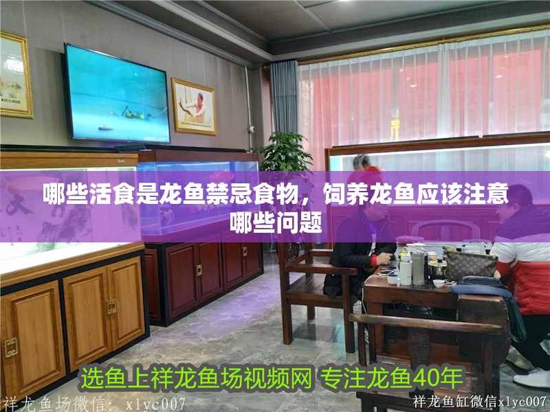 哪些活食是龍魚禁忌食物，飼養(yǎng)龍魚應該注意哪些問題