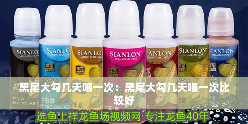 黑尾大勾幾天喂一次：黑尾大勾幾天喂一次比較好