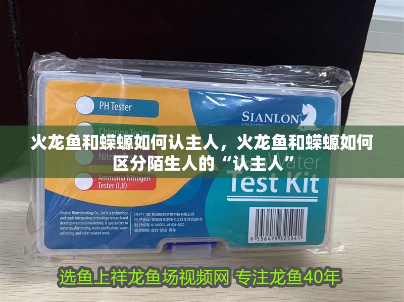 火龍魚和蠑螈如何認主人，火龍魚和蠑螈如何區分陌生人的“認主人”