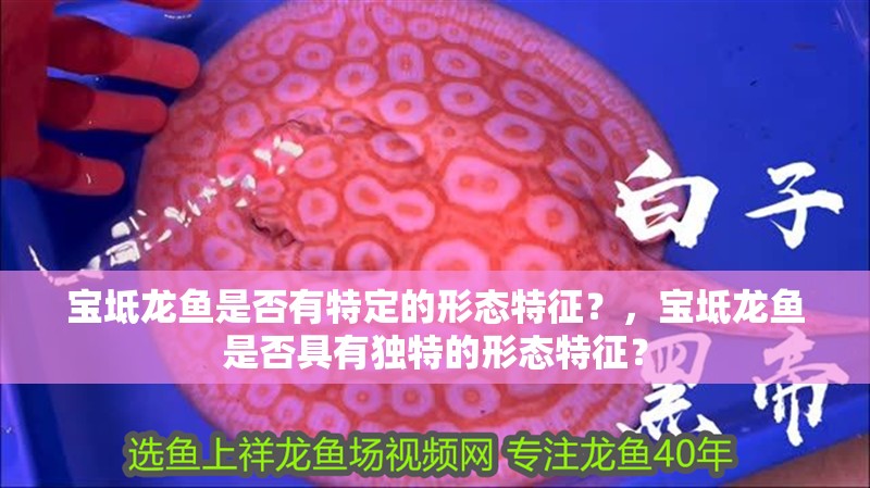 寶坻龍魚是否有特定的形態特征？，寶坻龍魚是否具有獨特的形態特征？