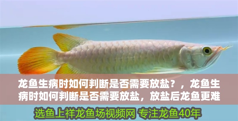 龍魚生病時(shí)如何判斷是否需要放鹽？，龍魚生病時(shí)如何判斷是否需要放鹽，放鹽后龍魚更難受了怎么辦