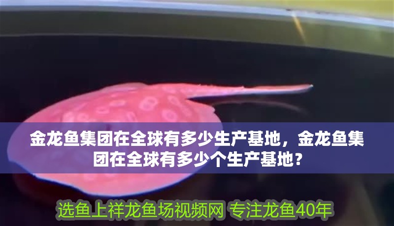 金龍魚集團(tuán)在全球有多少生產(chǎn)基地，金龍魚集團(tuán)在全球有多少個(gè)生產(chǎn)基地？