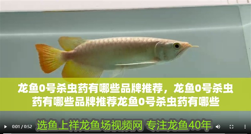 龍魚0號殺蟲藥有哪些品牌推薦，龍魚0號殺蟲藥有哪些品牌推薦龍魚0號殺蟲藥有哪些