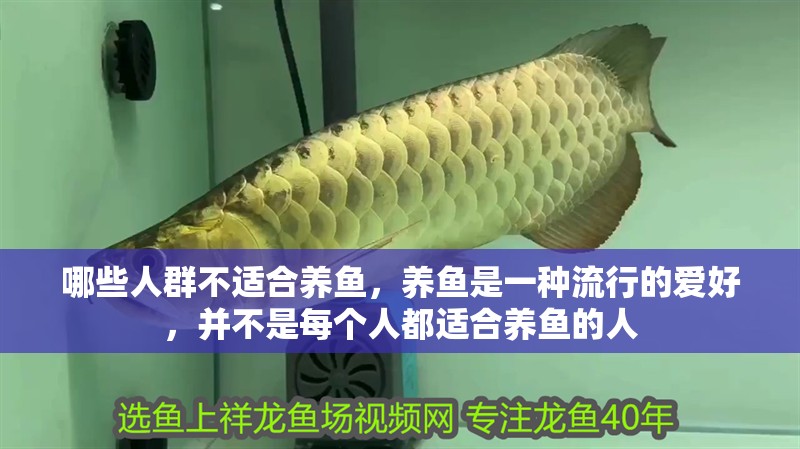 哪些人群不適合養(yǎng)魚，養(yǎng)魚是一種流行的愛好，并不是每個人都適合養(yǎng)魚的人