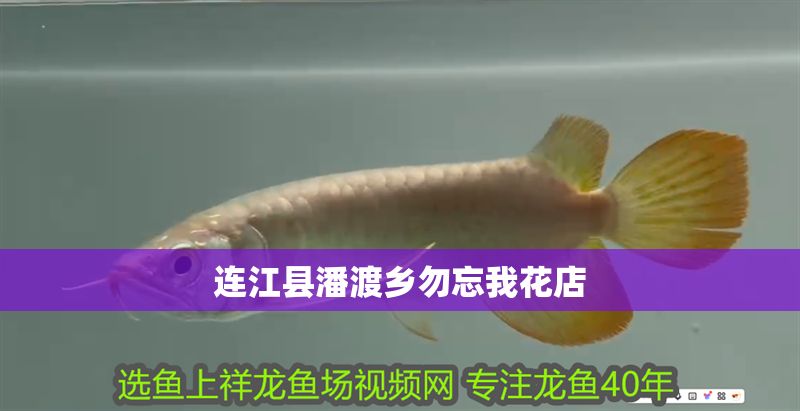 連江縣潘渡鄉(xiāng)勿忘我花店