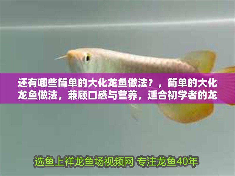 還有哪些簡單的大化龍魚做法？，簡單的大化龍魚做法，兼顧口感與營養，適合初學者的龍魚做法