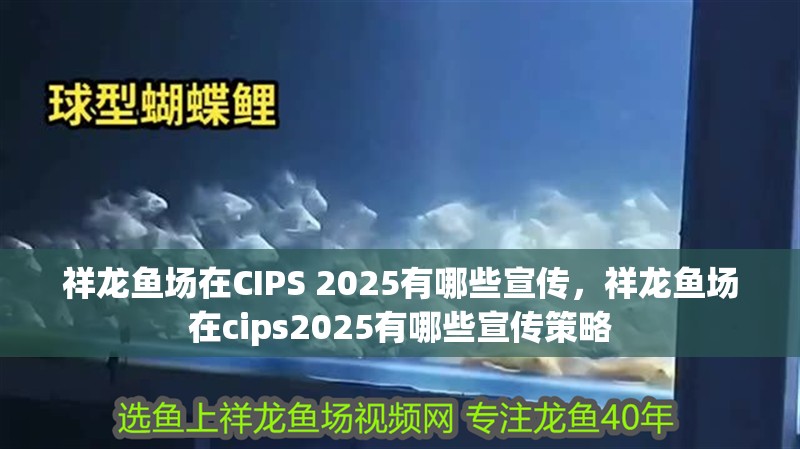 祥龍魚場在CIPS 2025有哪些宣傳，祥龍魚場在cips2025有哪些宣傳策略