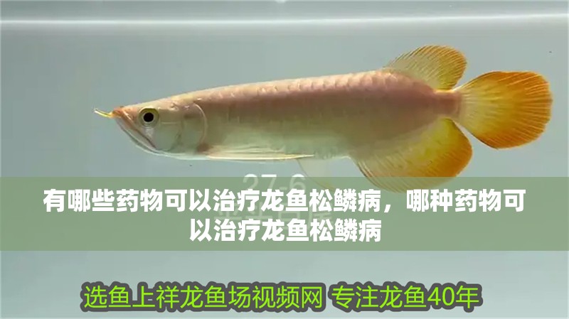 有哪些藥物可以治療龍魚松鱗病，哪種藥物可以治療龍魚松鱗病
