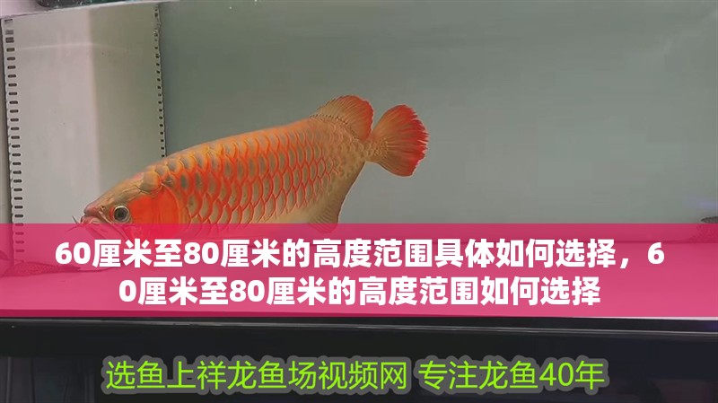 60厘米至80厘米的高度范圍具體如何選擇，60厘米至80厘米的高度范圍如何選擇