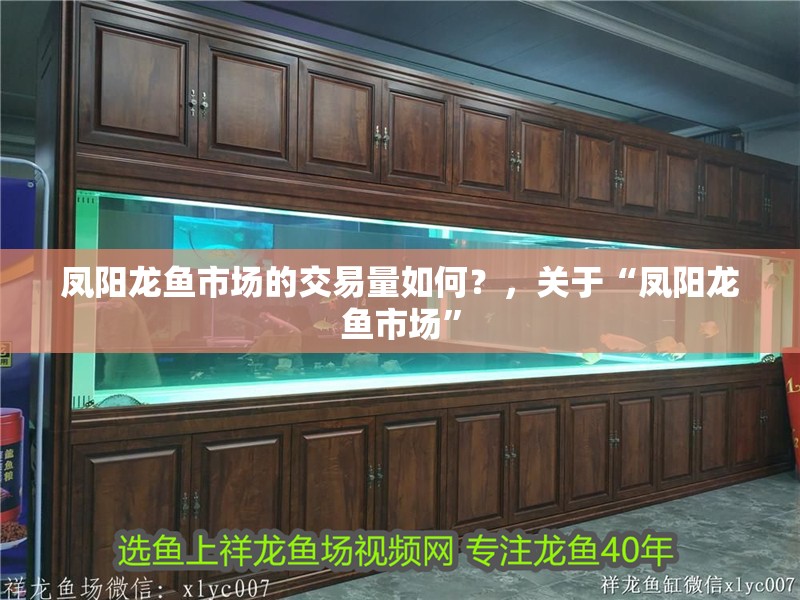 鳳陽龍魚市場的交易量如何？，關(guān)于“鳳陽龍魚市場”