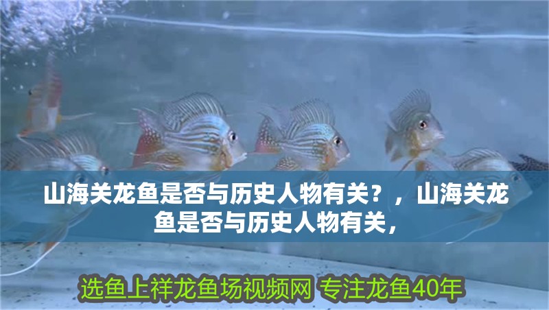 山海關(guān)龍魚是否與歷史人物有關(guān)？，山海關(guān)龍魚是否與歷史人物有關(guān)，