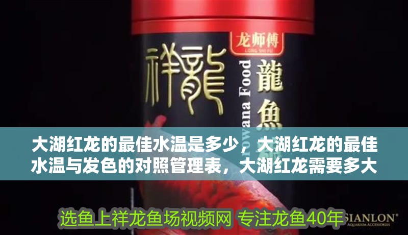 大湖紅龍的最佳水溫是多少，大湖紅龍的最佳水溫與發色的對照管理表，大湖紅龍需要多大的魚缸