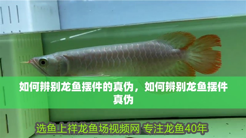 如何辨別龍魚擺件的真偽，如何辨別龍魚擺件真偽