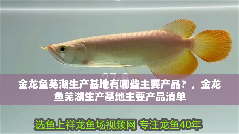 金龍魚蕪湖生產基地有哪些主要產品？，金龍魚蕪湖生產基地主要產品清單