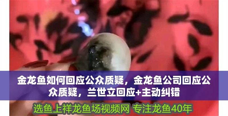 金龍魚如何回應公眾質疑，金龍魚公司回應公眾質疑，蘭世立回應+主動糾錯