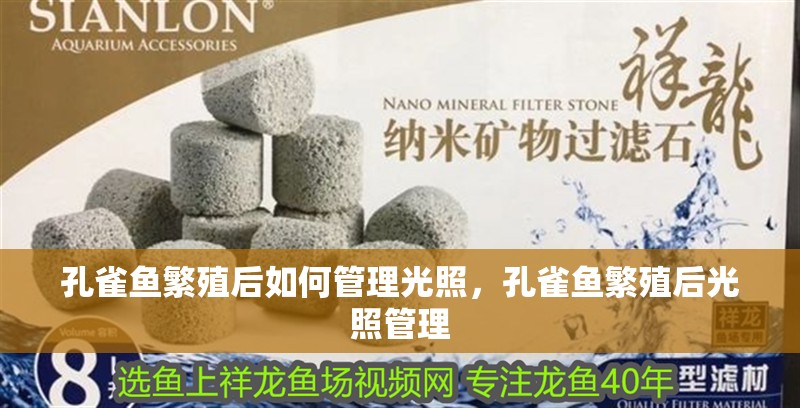 小火龍蠑螈的壽命有多長