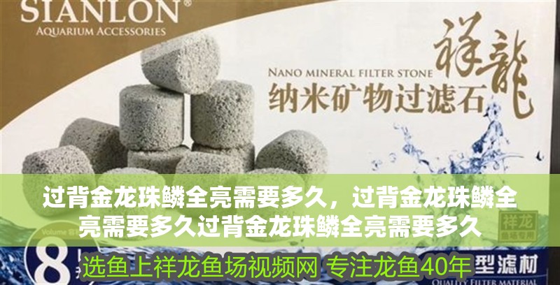 過背金龍珠鱗全亮需要多久，過背金龍珠鱗全亮需要多久過背金龍珠鱗全亮需要多久