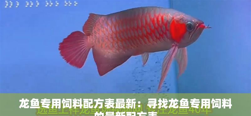 龍魚專用飼料配方表最新：尋找龍魚專用飼料的最新配方表
