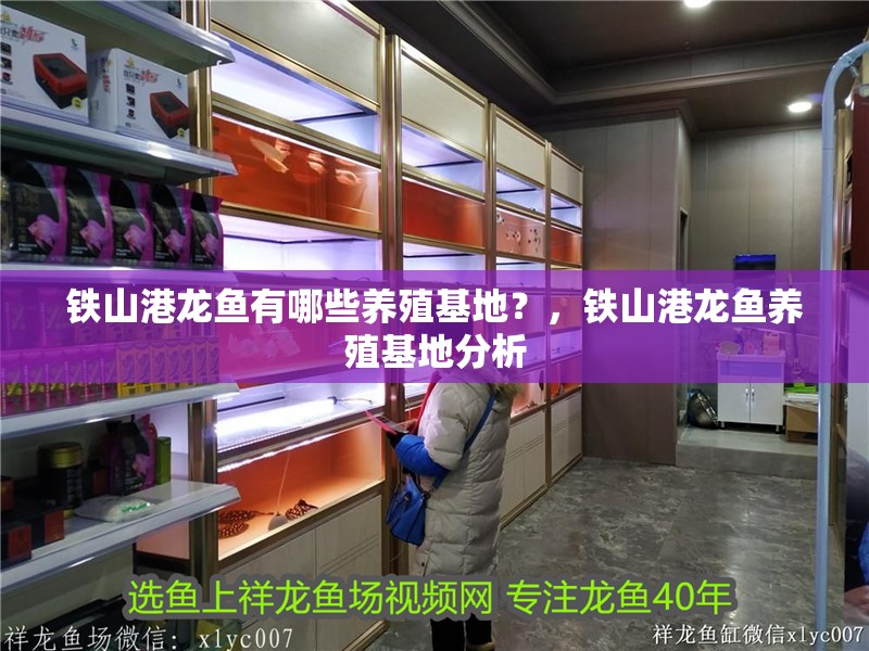 鐵山港龍魚(yú)有哪些養(yǎng)殖基地？，鐵山港龍魚(yú)養(yǎng)殖基地分析