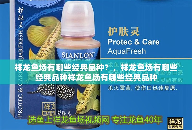 祥龍魚場有哪些經典品種？，祥龍魚場有哪些經典品種祥龍魚場有哪些經典品種