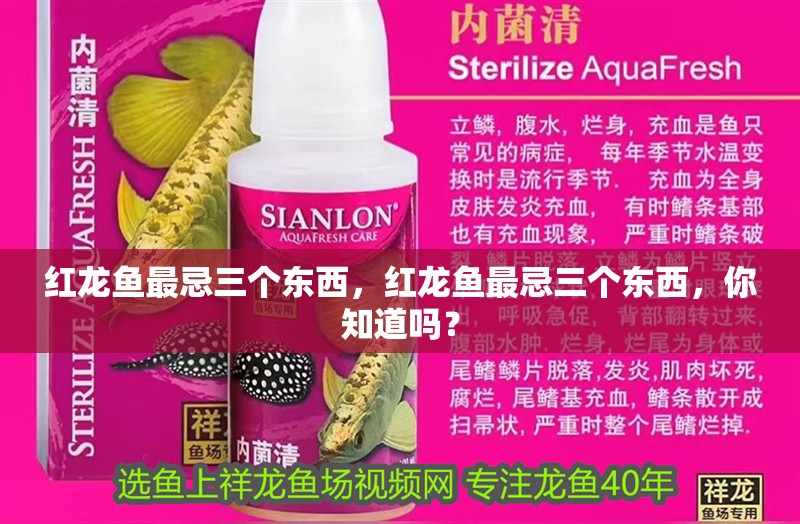 紅龍魚最忌三個(gè)東西，紅龍魚最忌三個(gè)東西，你知道嗎？