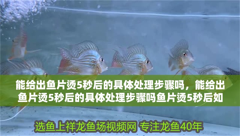 能給出魚片燙5秒后的具體處理步驟嗎，能給出魚片燙5秒后的具體處理步驟嗎魚片燙5秒后如何保持滑嫩