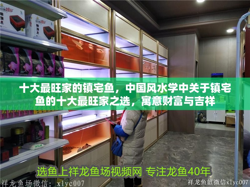 十大最旺家的鎮宅魚，中國風水學中關于鎮宅魚的十大最旺家之選，寓意財富與吉祥