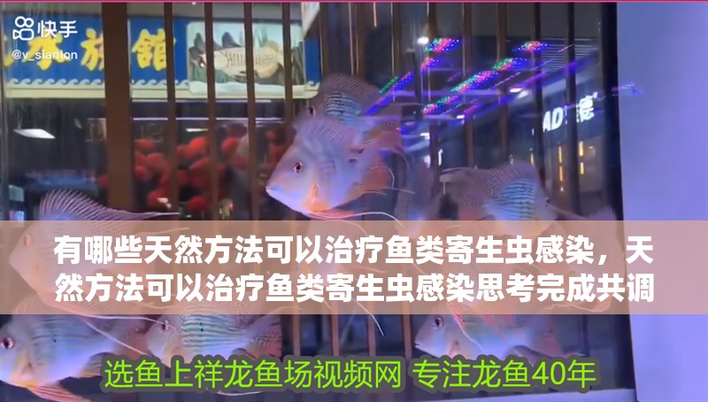 有哪些天然方法可以治療魚(yú)類(lèi)寄生蟲(chóng)感染，天然方法可以治療魚(yú)類(lèi)寄生蟲(chóng)感染思考完成共調(diào)用2個(gè)工具