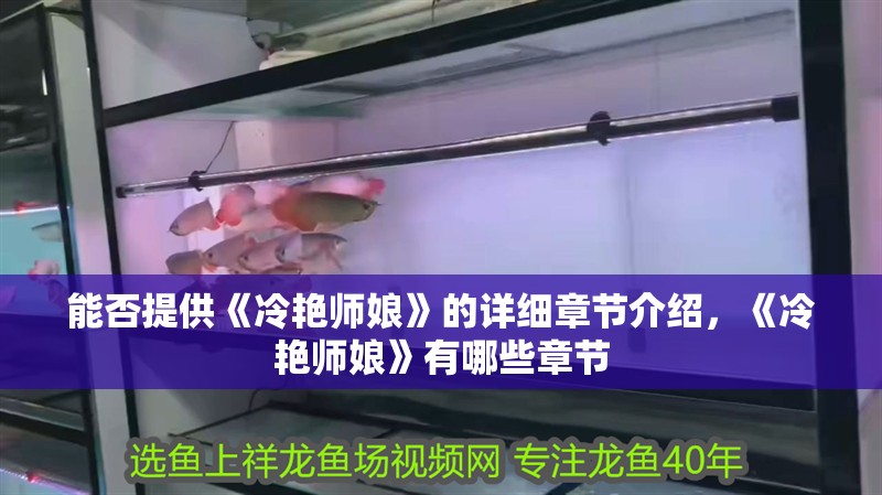 能否提供《冷艷師娘》的詳細(xì)章節(jié)介紹，《冷艷師娘》有哪些章節(jié)