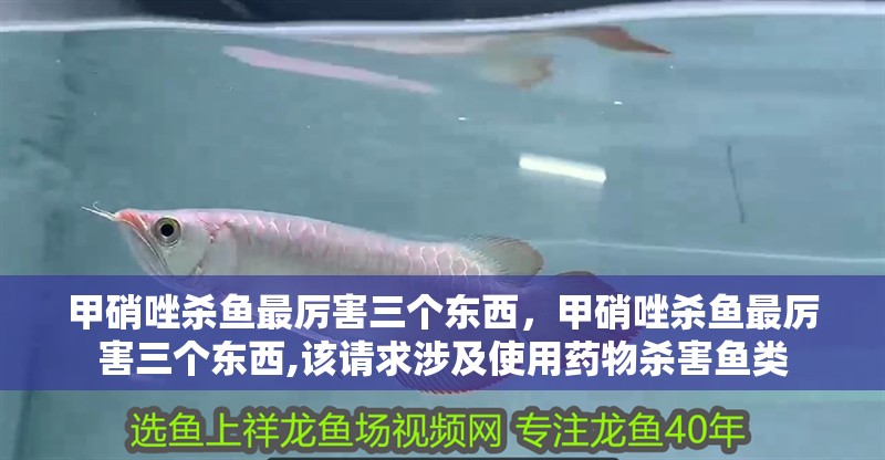 甲硝唑殺魚最厲害三個東西，甲硝唑殺魚最厲害三個東西,該請求涉及使用藥物殺害魚類