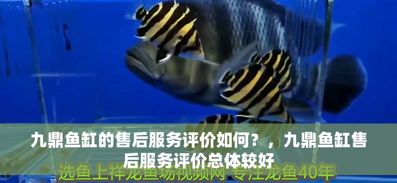 九鼎魚缸的售后服務評價如何？，九鼎魚缸售后服務評價總體較好