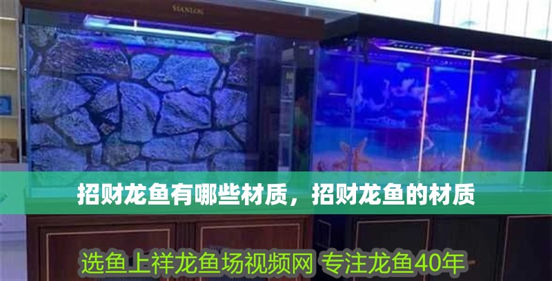招財龍魚有哪些材質，招財龍魚的材質
