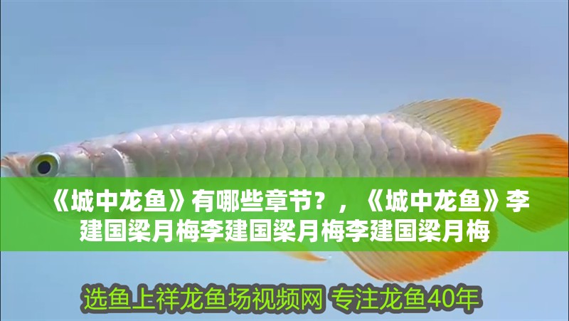 《城中龍魚》有哪些章節(jié)？，《城中龍魚》李建國梁月梅李建國梁月梅李建國梁月梅