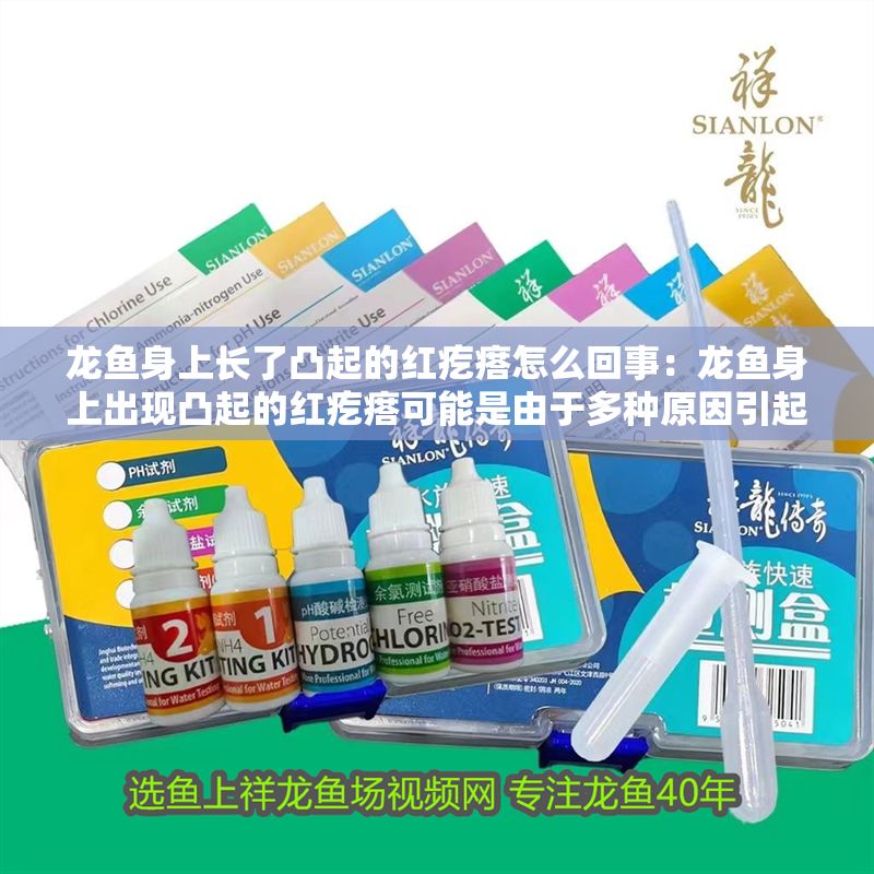 龍魚身上長了凸起的紅疙瘩怎么回事：龍魚身上出現凸起的紅疙瘩可能是由于多種原因引起的 龍魚身上長了凸起的紅疙瘩怎么回事：龍魚身上出現凸起的紅疙瘩可能是由于多種原因引起的 龍魚百科 第2張