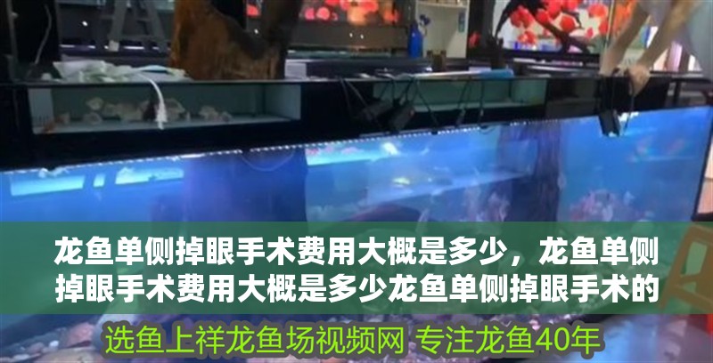 龍魚單側掉眼手術費用大概是多少，龍魚單側掉眼手術費用大概是多少龍魚單側掉眼手術的風險有多大