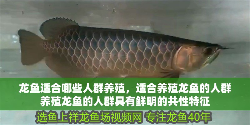 龍魚適合哪些人群養(yǎng)殖，適合養(yǎng)殖龍魚的人群養(yǎng)殖龍魚的人群具有鮮明的共性特征