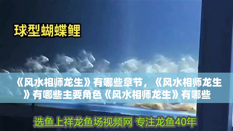 《風水相師龍生》有哪些章節(jié)，《風水相師龍生》有哪些主要角色《風水相師龍生》有哪些