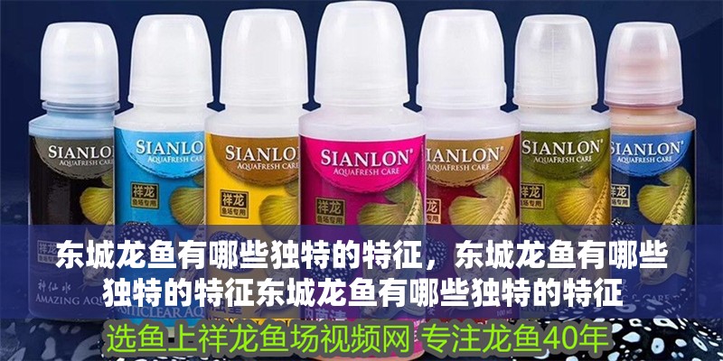 東城龍魚有哪些獨特的特征，東城龍魚有哪些獨特的特征東城龍魚有哪些獨特的特征