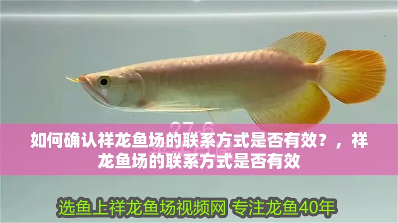 如何確認祥龍魚場的聯(lián)系方式是否有效？，祥龍魚場的聯(lián)系方式是否有效