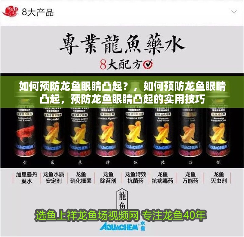 如何預防龍魚眼睛凸起？，如何預防龍魚眼睛凸起，預防龍魚眼睛凸起的實用技巧